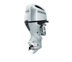BF225 
